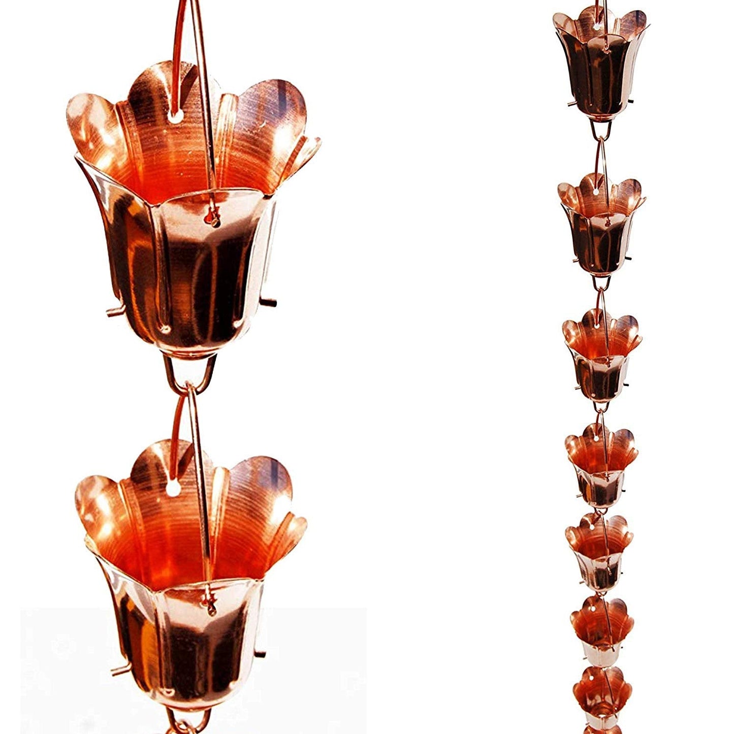 Tulpenblütenblüte 8-ft