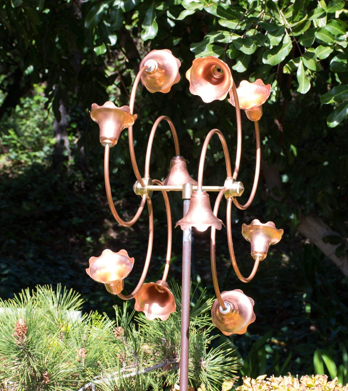 Taumelblumen