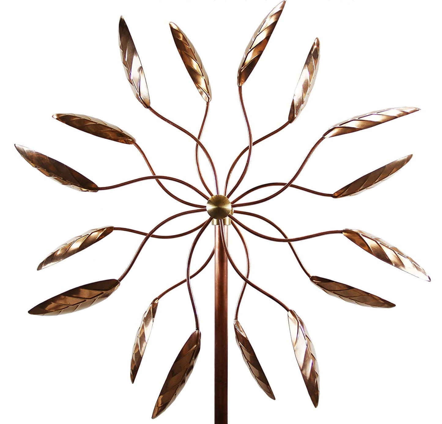 Spinning Ficus Blätter