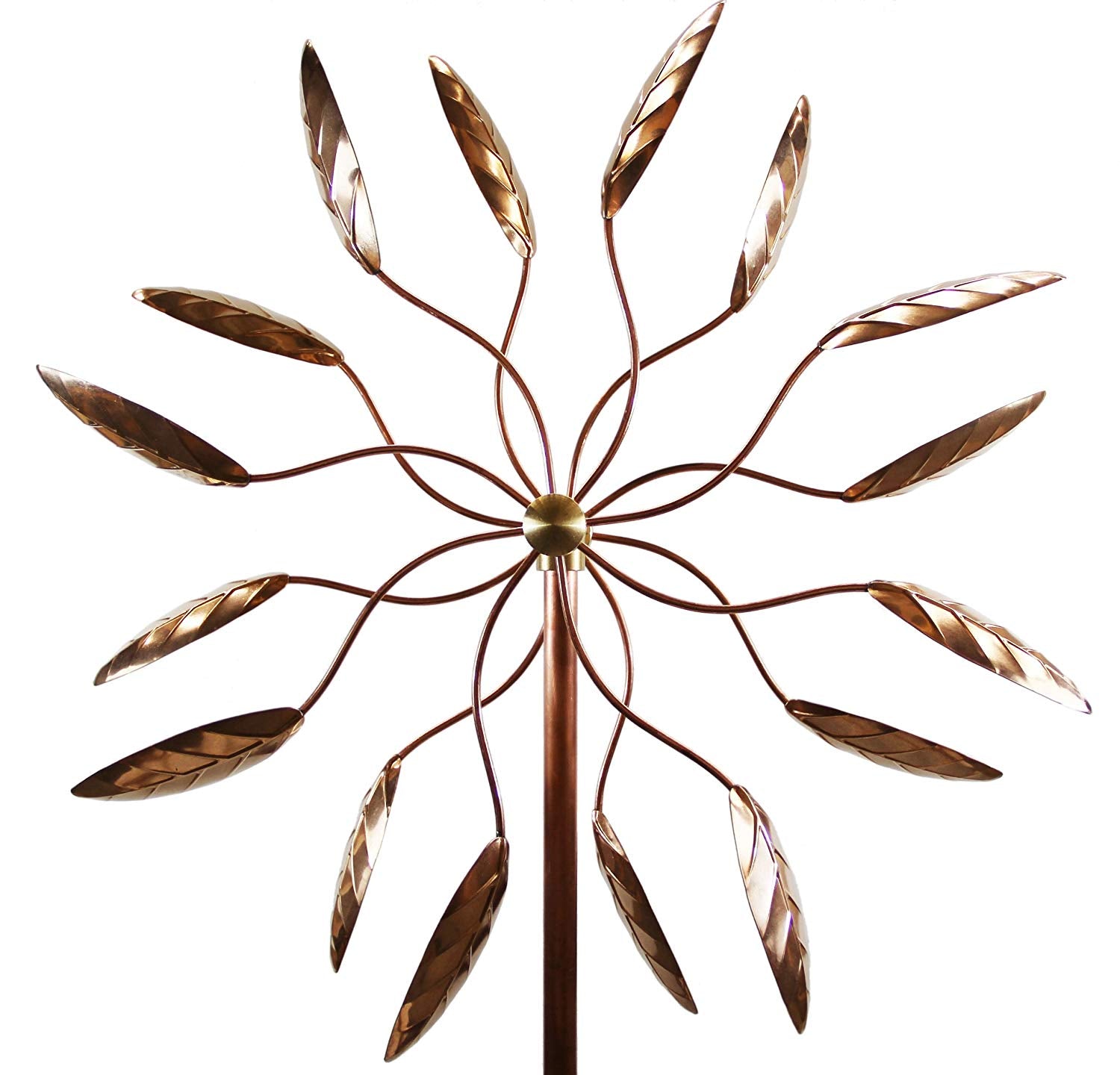 Spinning Ficus Blätter