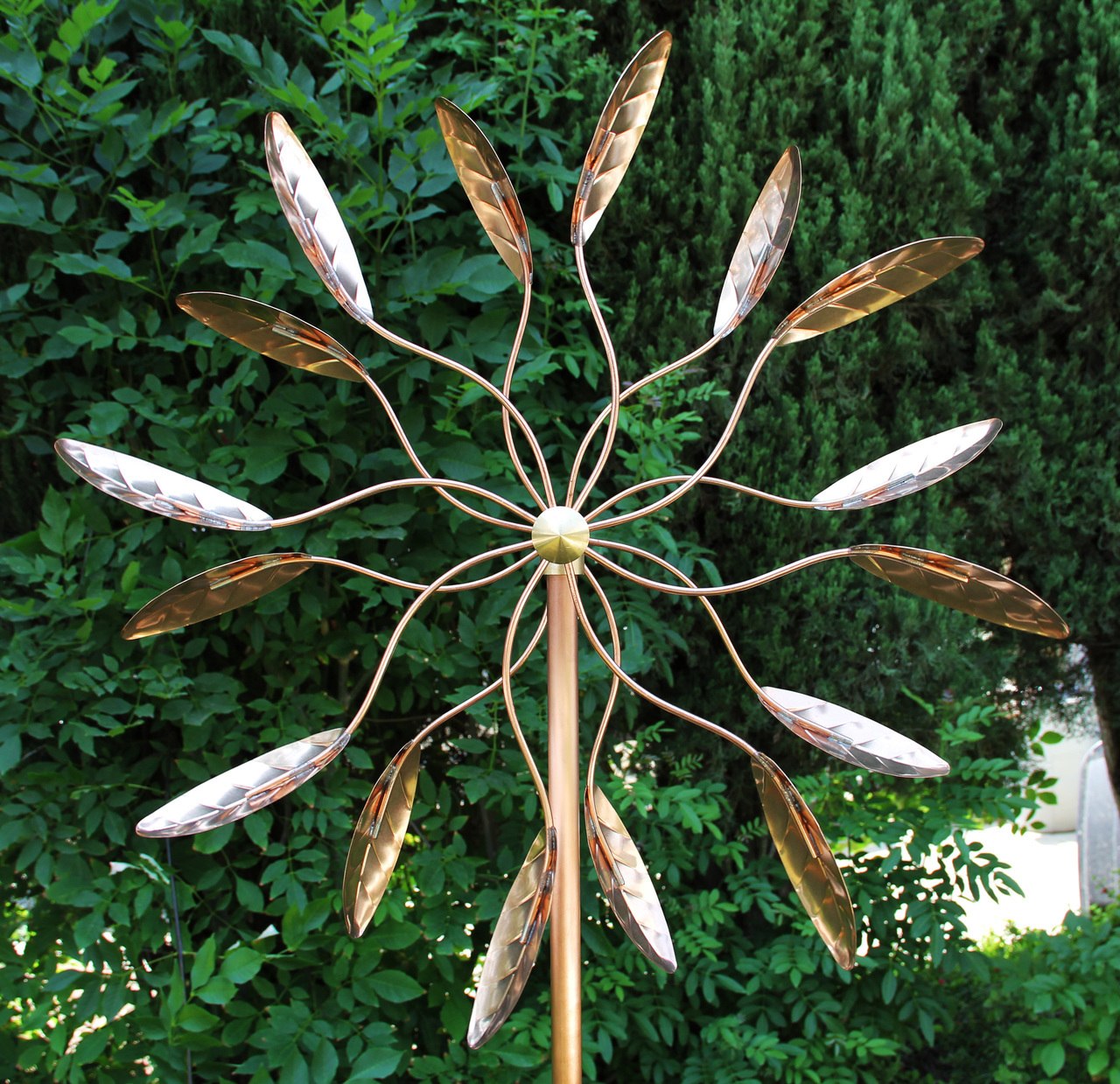 Spinning Ficus Blätter