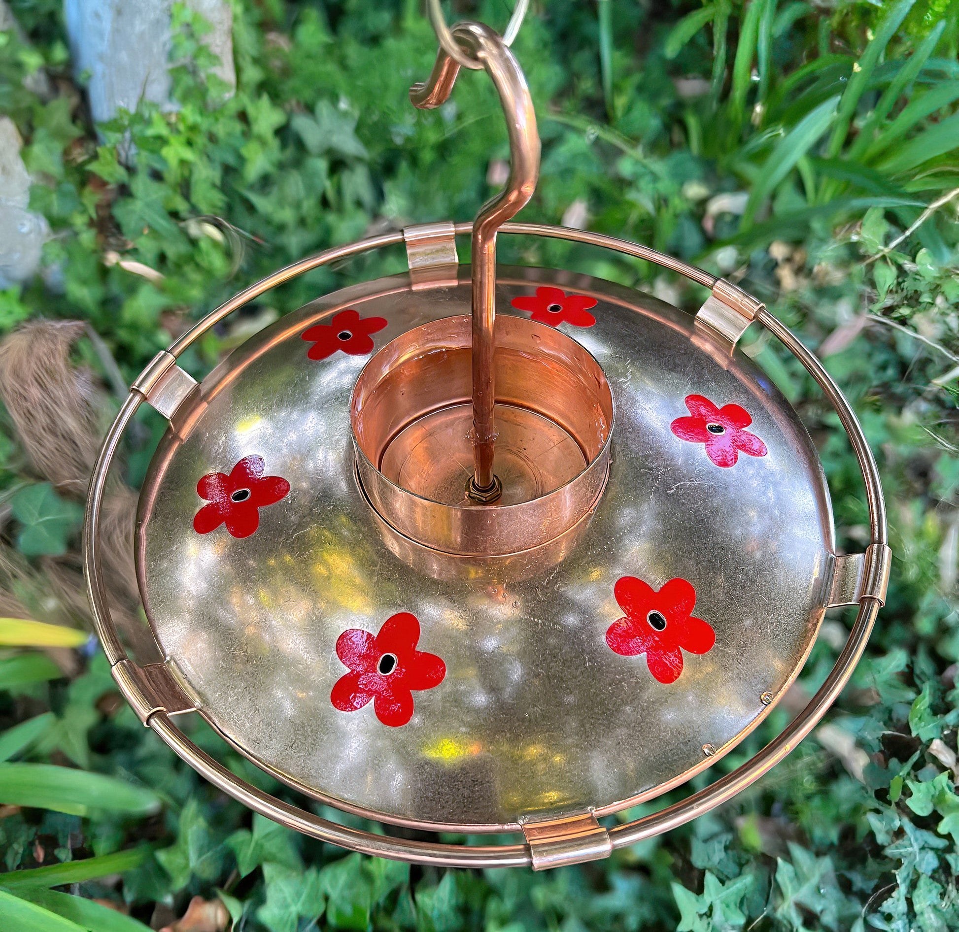 Reines Kupfer-Kolibri-Feeder