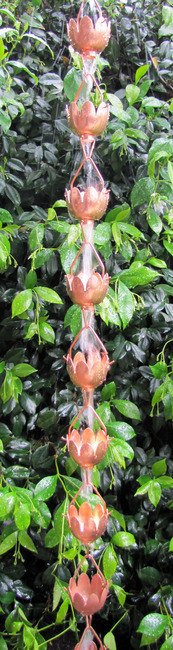 Lotus Lily Blume 8-ft