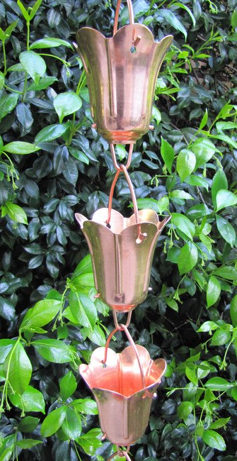Tulpenblütenblüte 8-ft