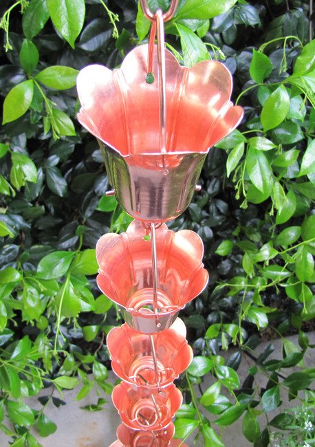 Tulpenblütenblüte 8-ft