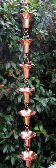 Morning Glory Blume - 8-ft