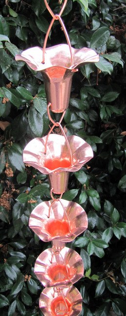 Morning Glory Blume - 8-ft