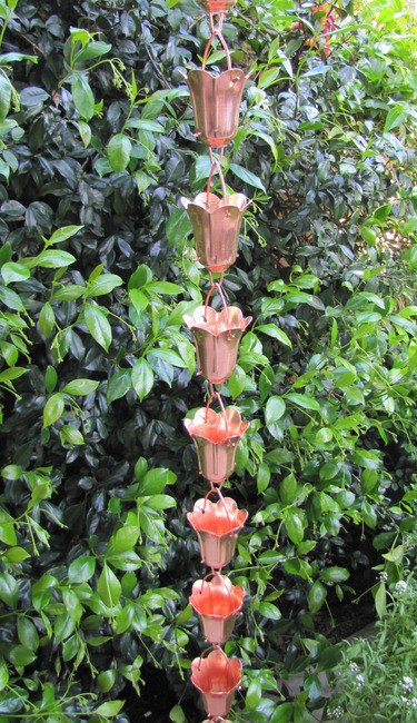 Tulpenblütenblüte 8-ft