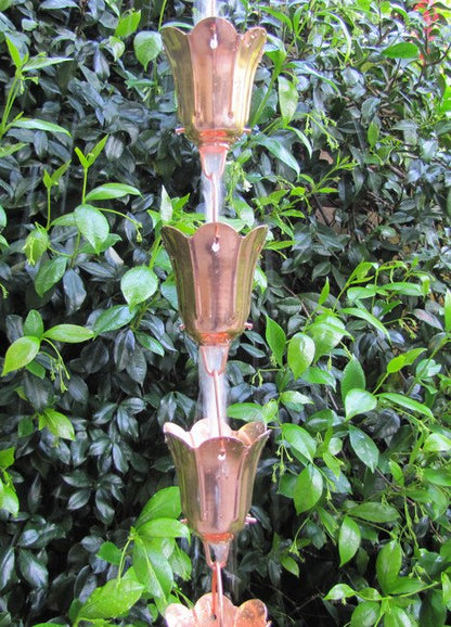 Tulpenblütenblüte 8-ft